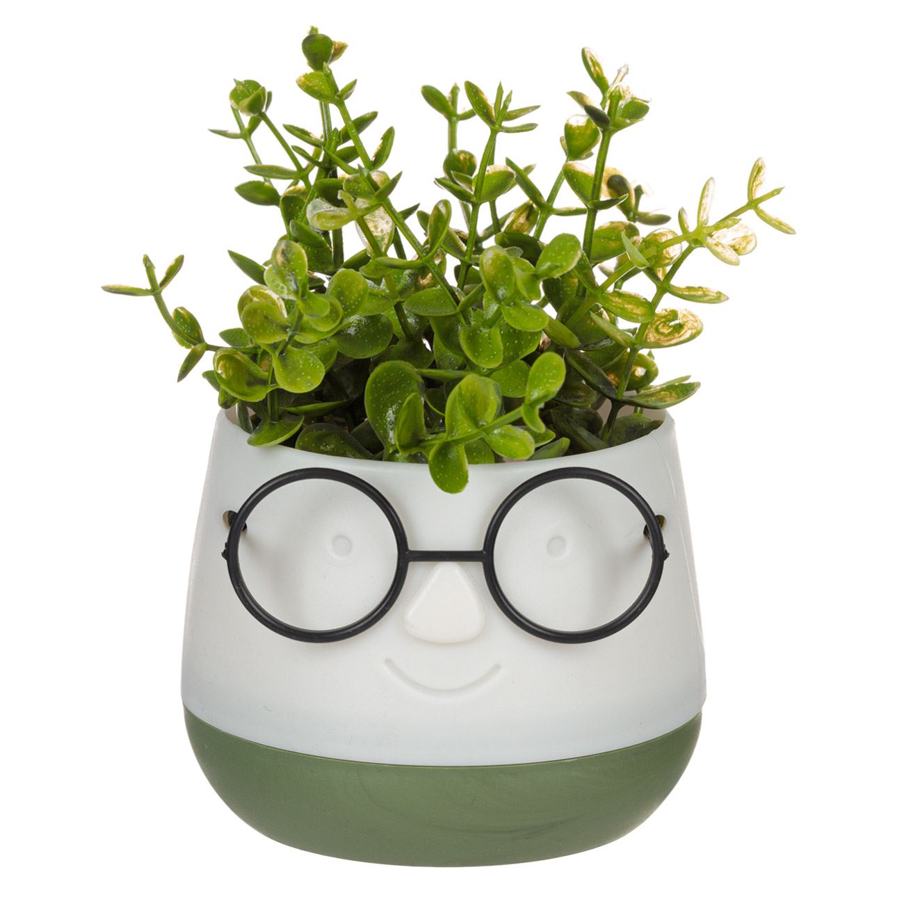 Művirág zöld kaspóban vicces szemüveggel 9,5x9,5x14 cm