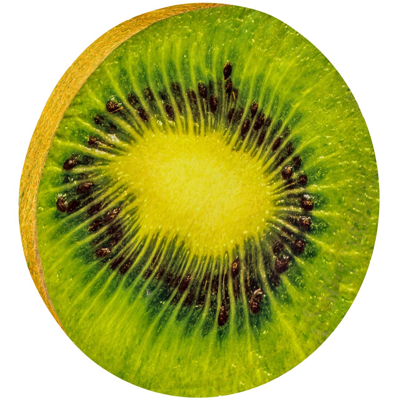 Székpárna Kiwi mintázattal 40 x 3,5 cm
